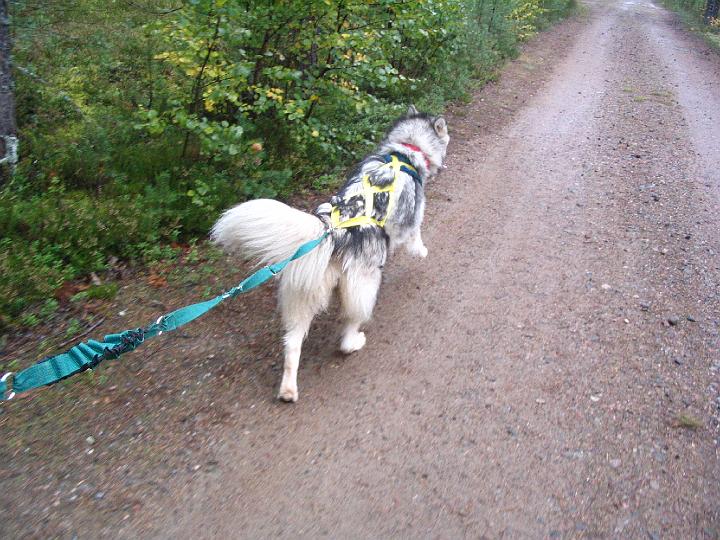 Awa syyskuu07 012.jpg - Awa syyskuu 2007 / Awa September 2007